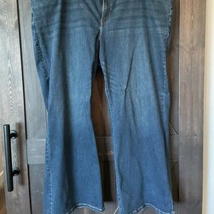 lane Bryant boot cut jeans